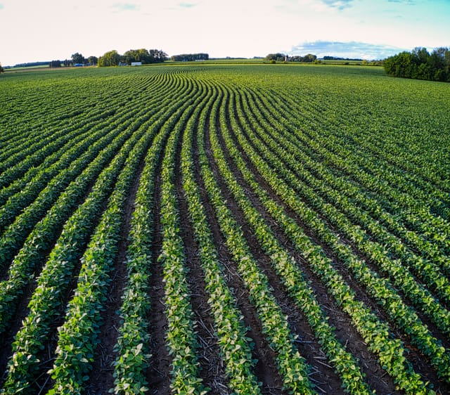 Leadership Hiring in India’s Agri & Food Sector: A Different Kind of Talent War