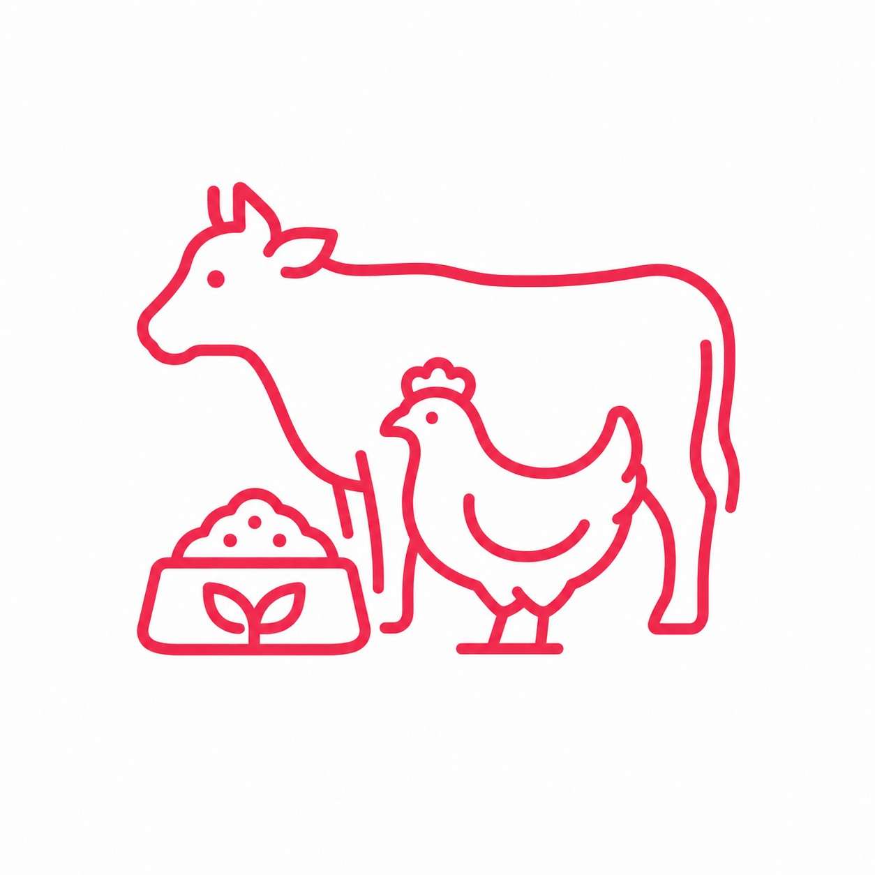 Animal Health & Feed