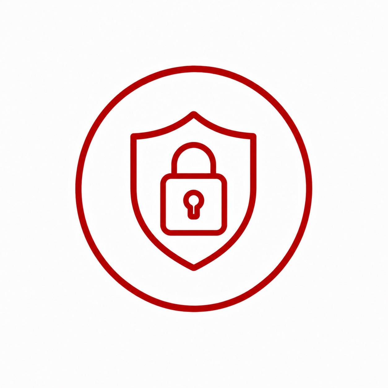 Fraud Prevention & Cybersecurity